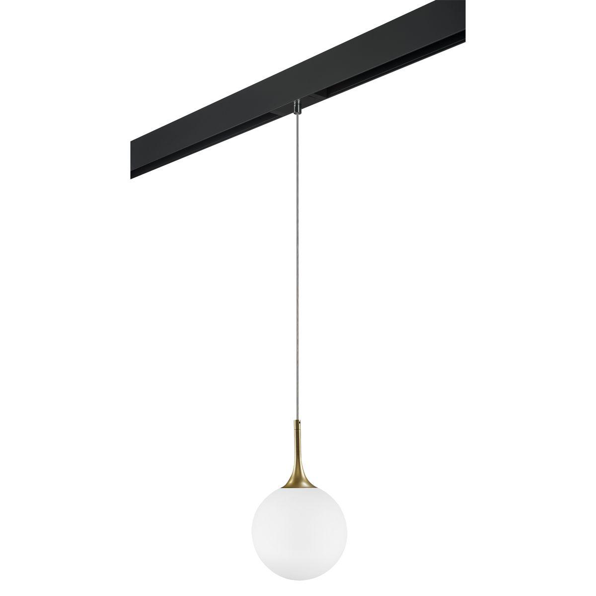 Комплект с трековым светильником Lightstar Globo (813022+595007) PRO813022