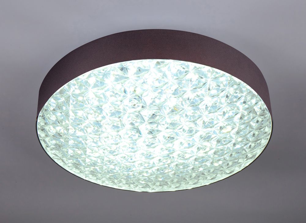 Потолочный светодиодный светильник Escada 10246/1LED