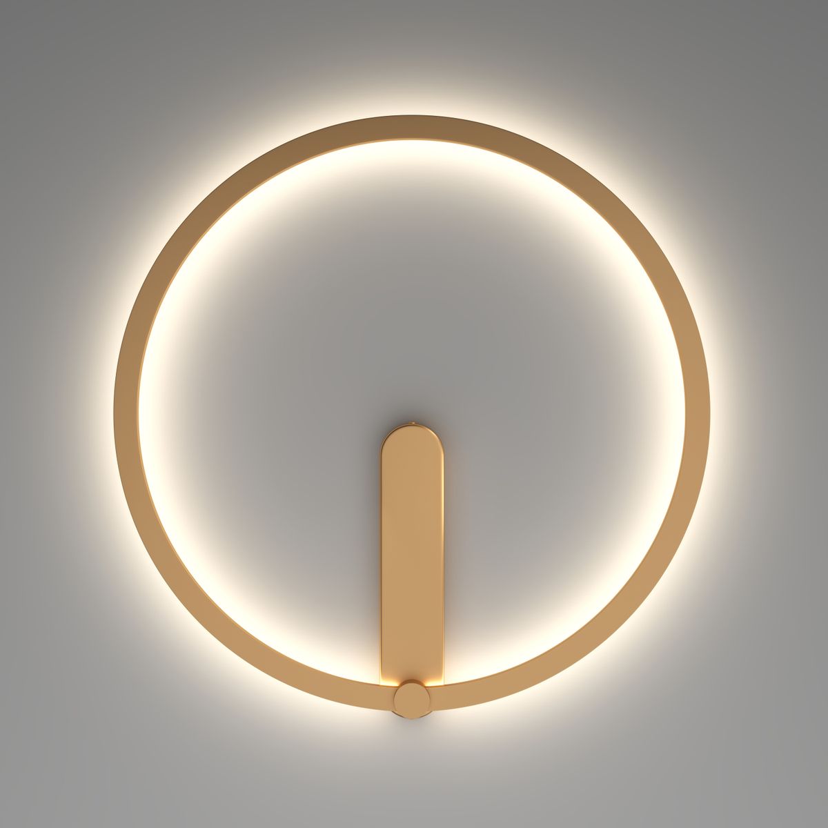 Настенный светодиодный светильник Denkirs Round DK5035-SG