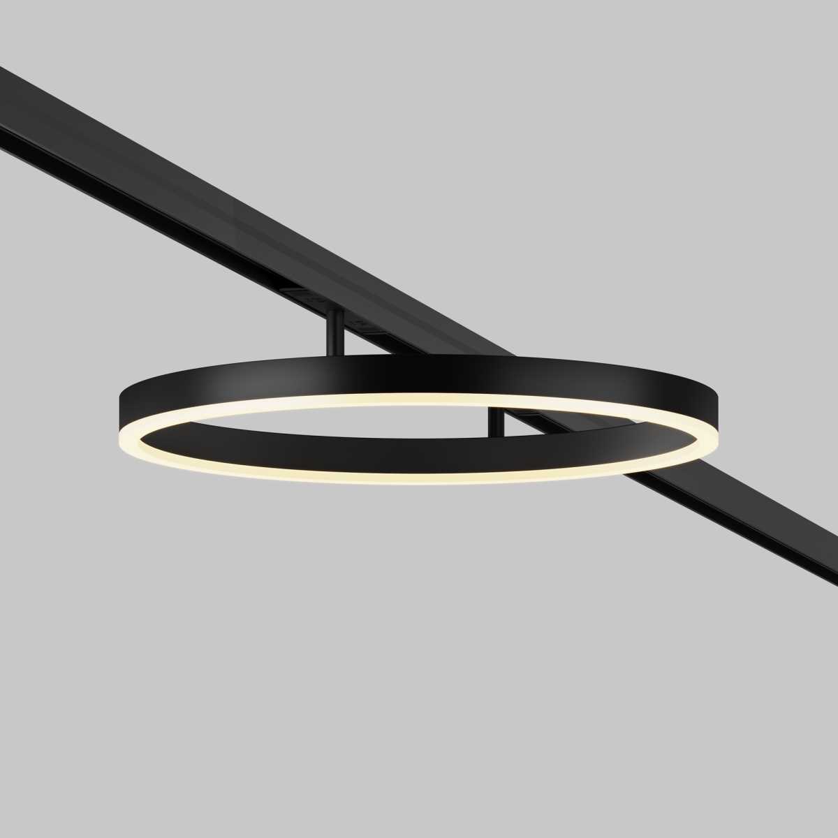 Трековый светильник Maytoni Technical TR227-2-24W3K-B
