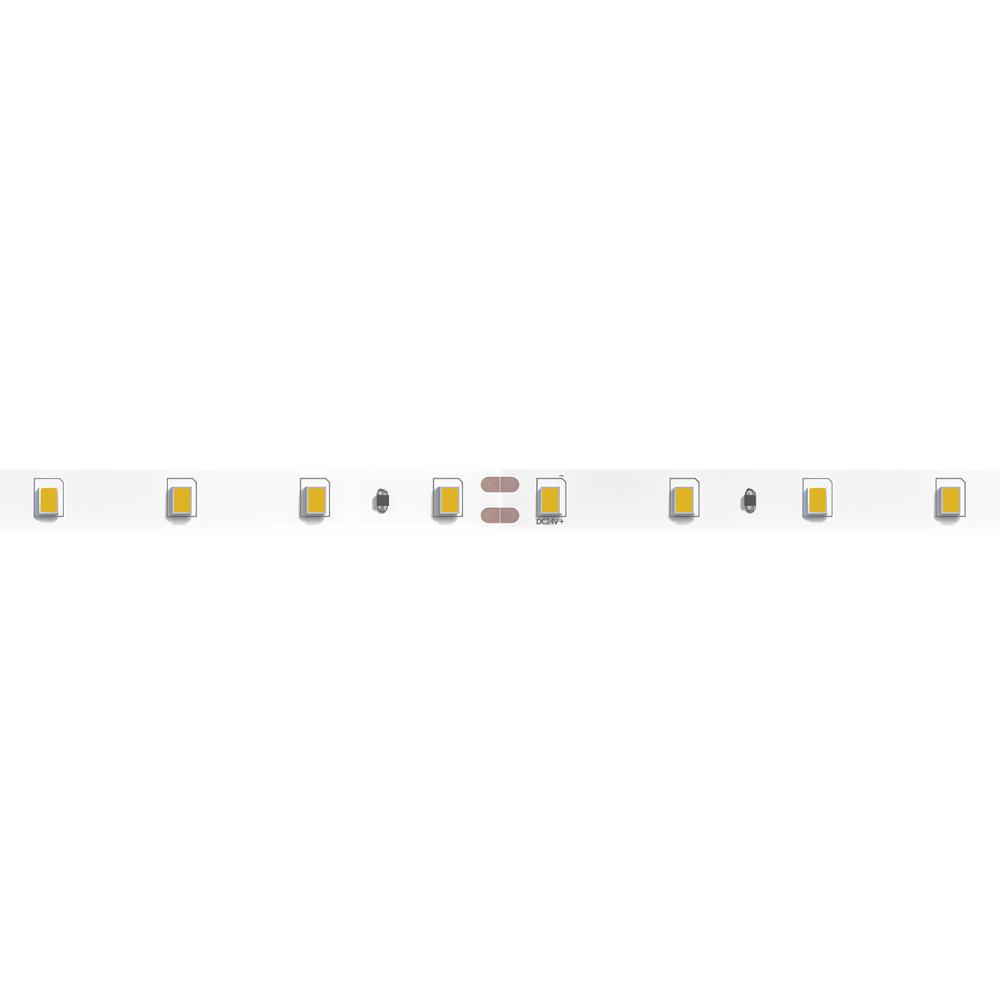 Светодиодная лента 24V 4,8W/m 3100К 5м Arte Lamp TAPE A2406008-01-3K