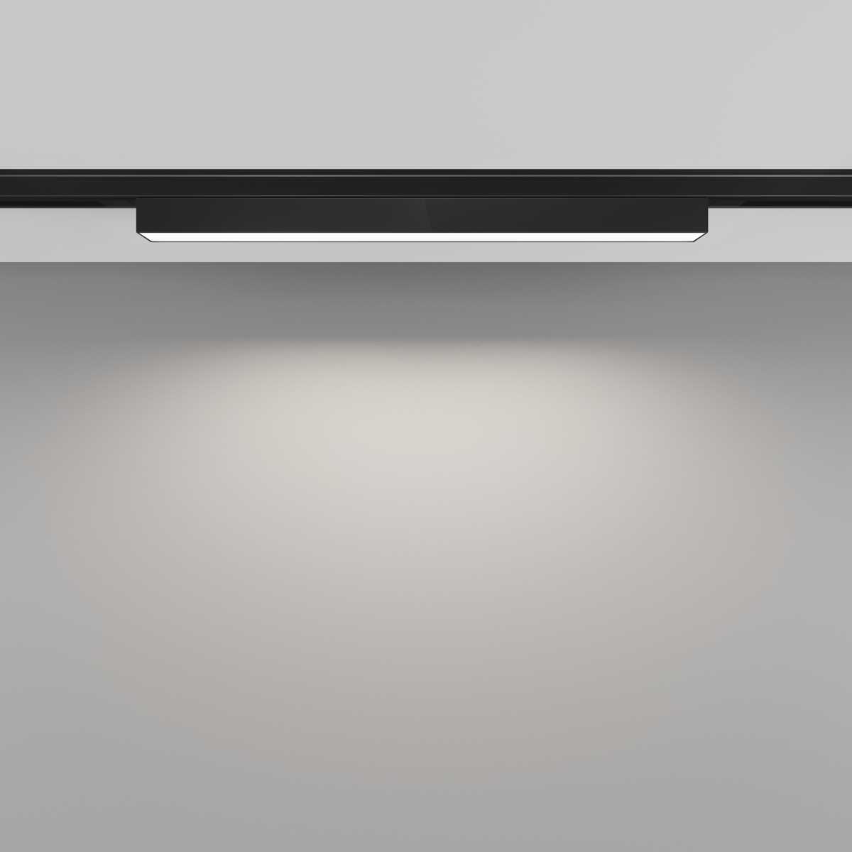 Трековый светильник Maytoni Technical Basis TR192-1-8W4K-B