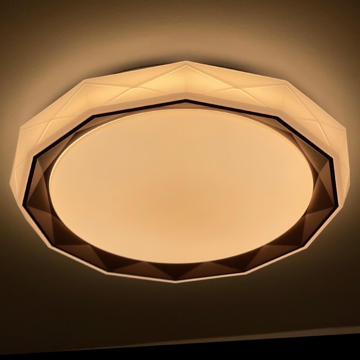 Потолочный светодиодный светильник Profit Light 2070/450 WH+CR