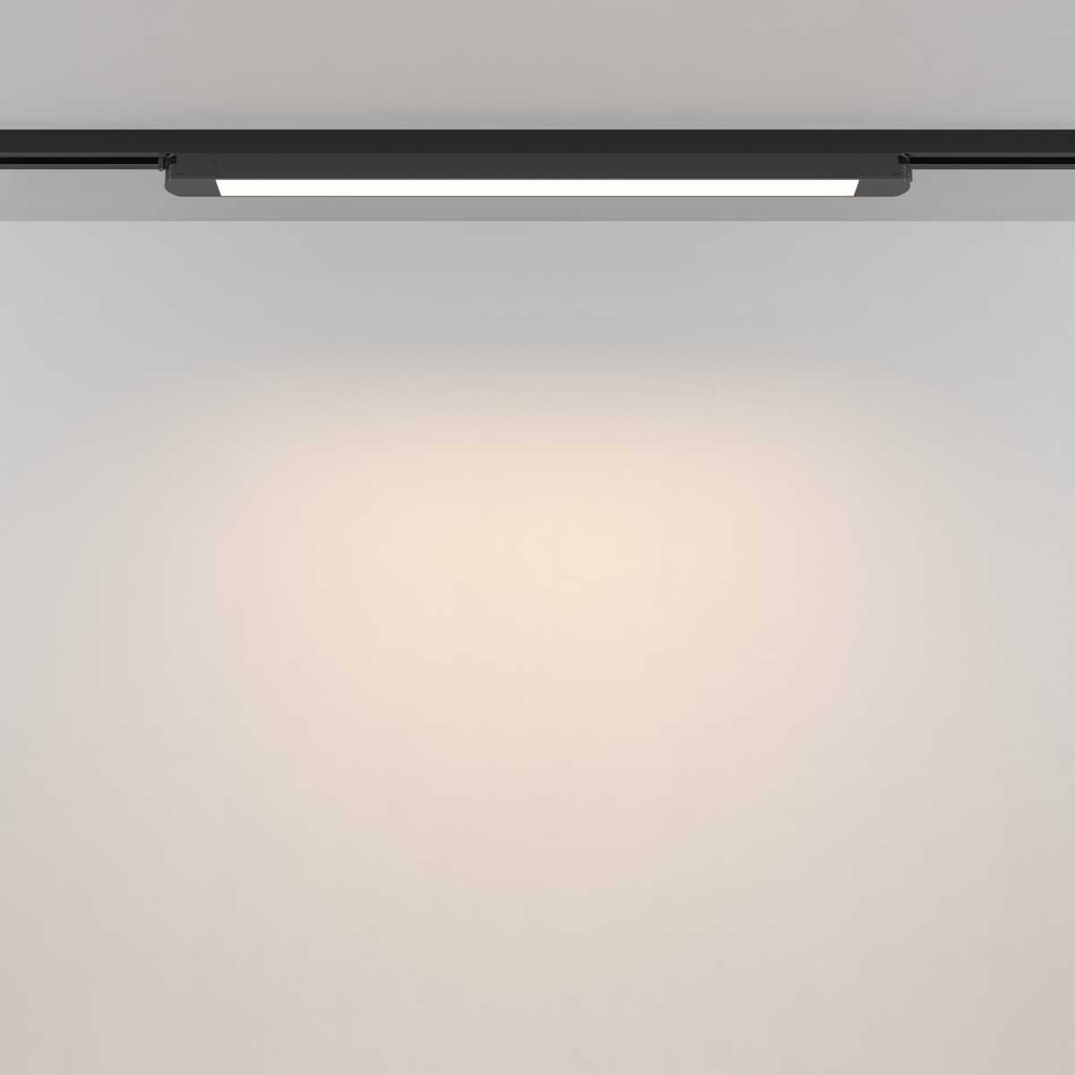 Трековый светильник Maytoni Technical TR000-1-24W3K-B_1
