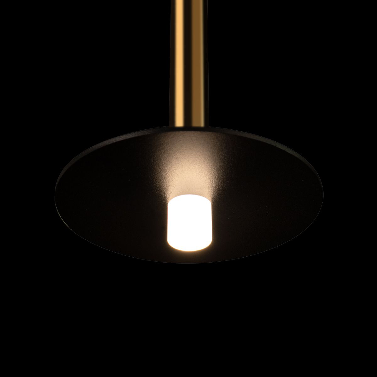 Подвесной светодиодный светильник Loft IT Reed 10358/830 Disk AB