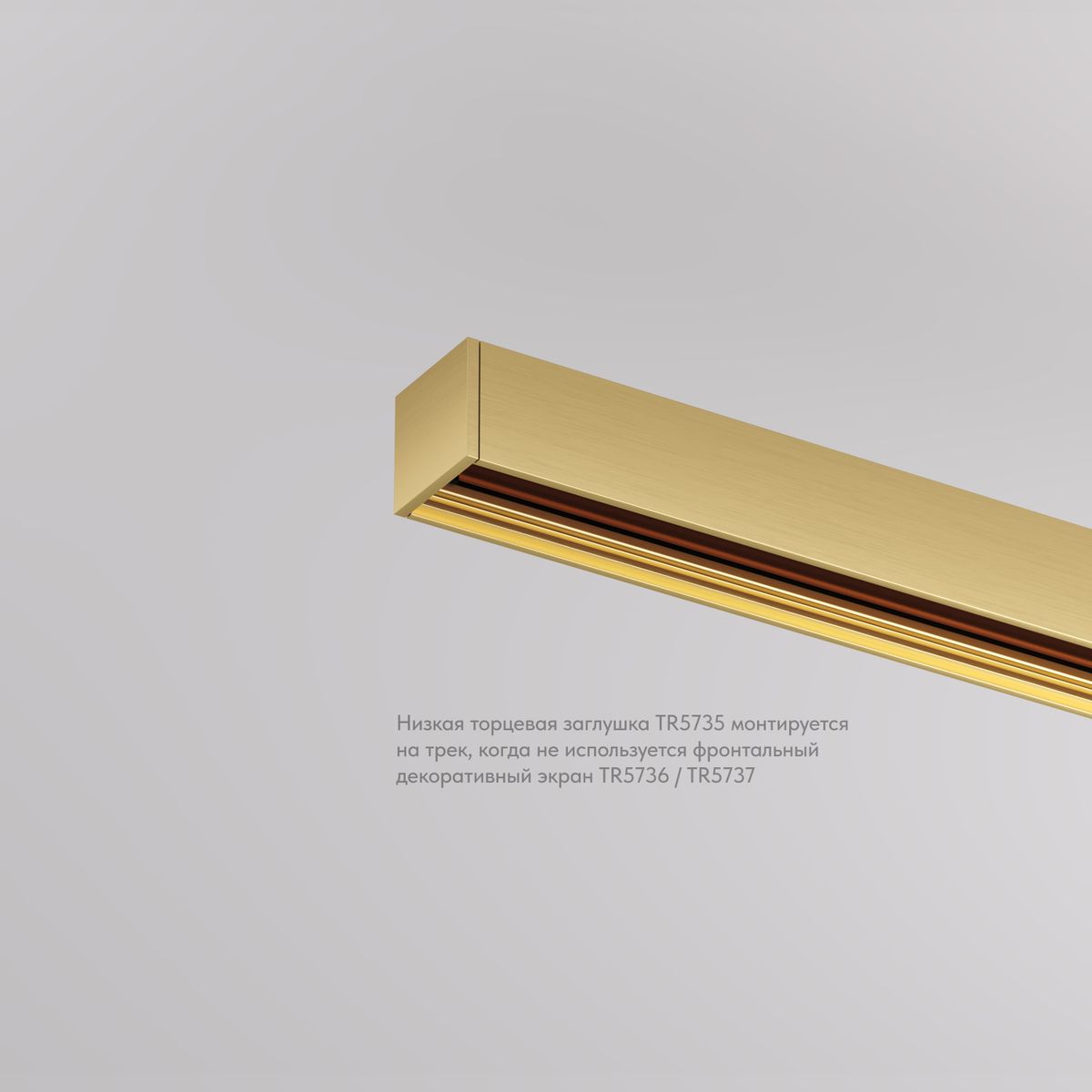 Заглушка торцевая Denkirs Shine Base (2 шт.) TR5735-SB