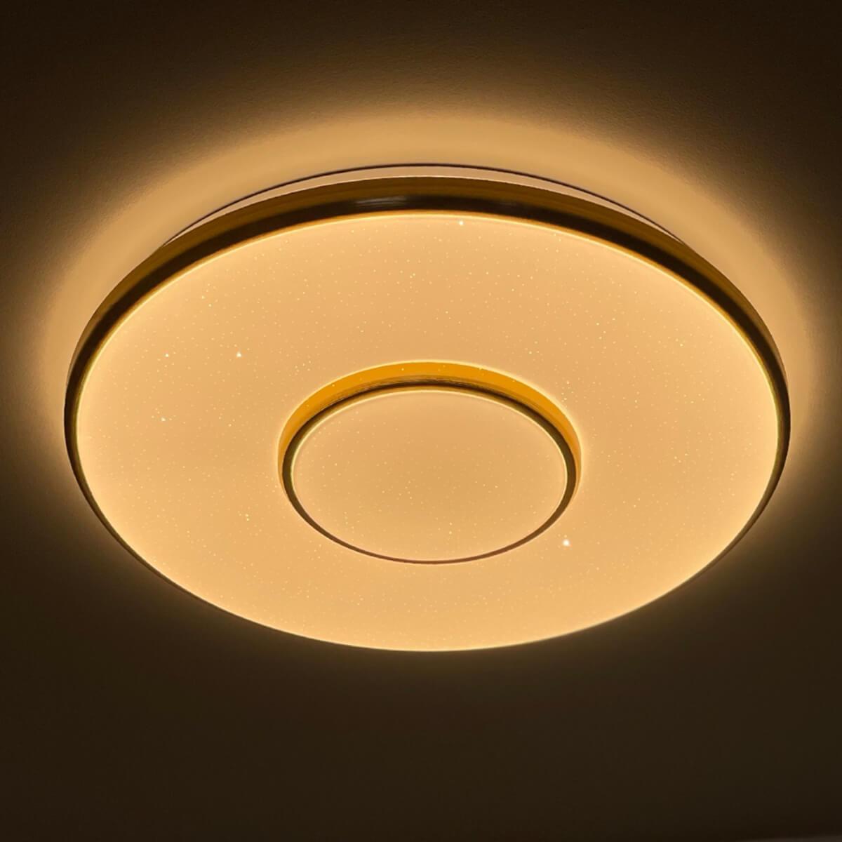 Потолочный светодиодный светильник Profit Light 2096/300 WH+CR