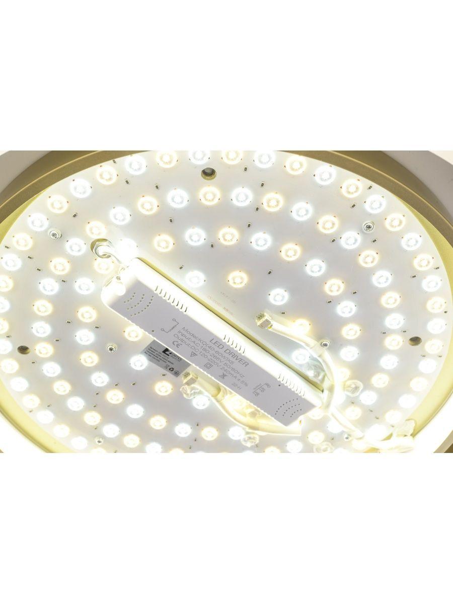 Потолочный светодиодный светильник Zortes Adel ZRS.1200.01