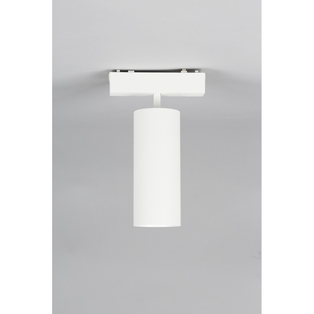 Трековый светильник Aployt Magnetic track 48 APL.0114.10.18