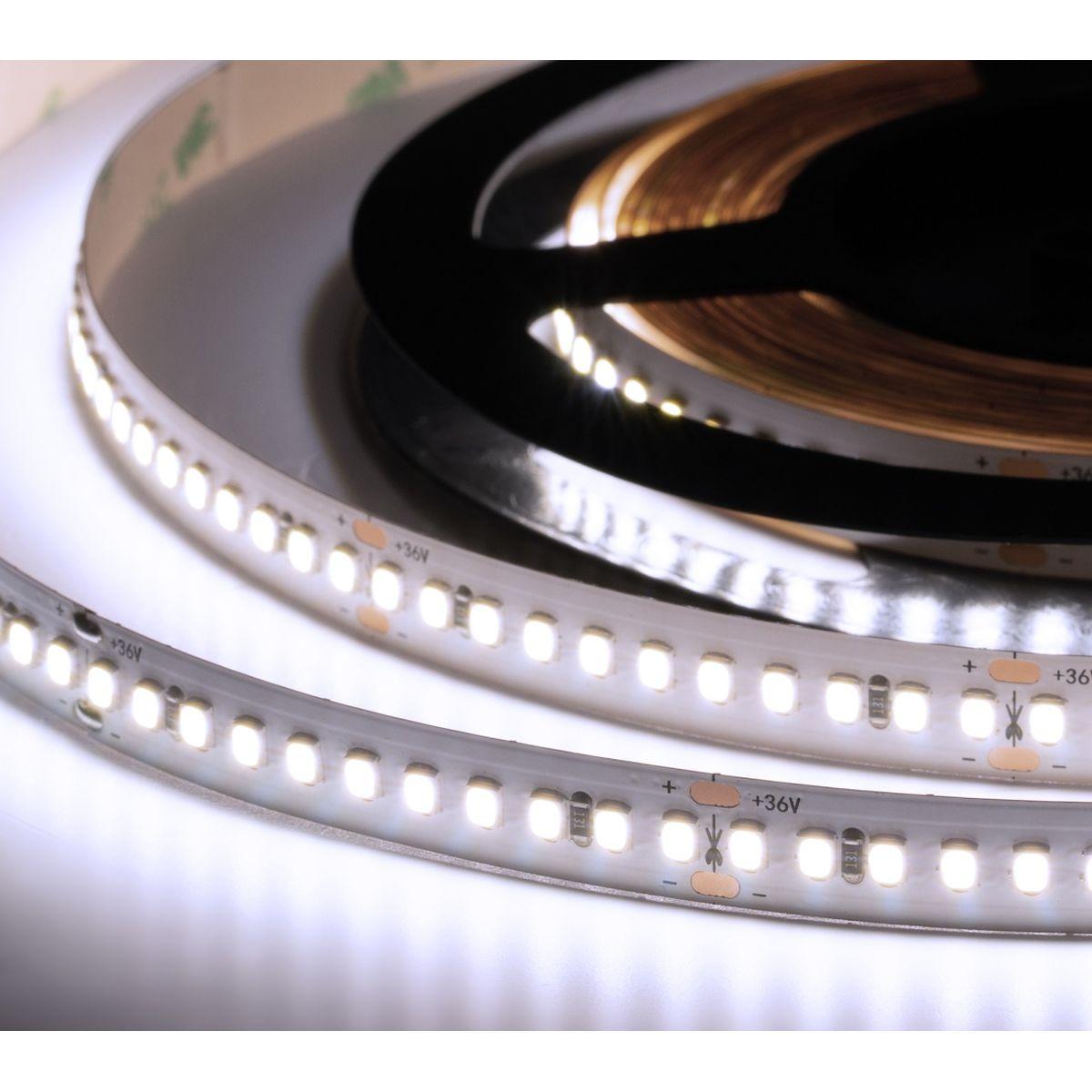 Лента светодиодная ELF 990SMD диодов (2835), 36В, 5м, ГИПЕР, белый 6500-7000К ELF-990SMD2835NWw-Hy36