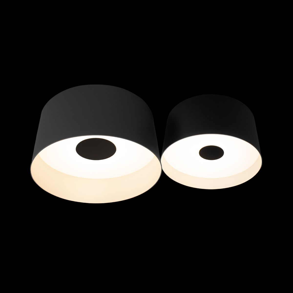 Потолочный светодиодный светильник Loft IT Duo 10360/2