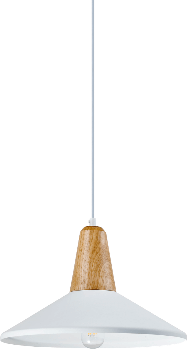 Подвесной светильник Moderli Luce V1571-1P