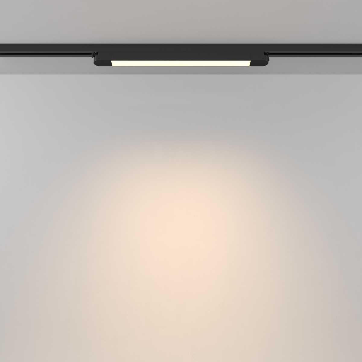 Трековый светильник Maytoni Technical TR000-1-12W3K-B_1