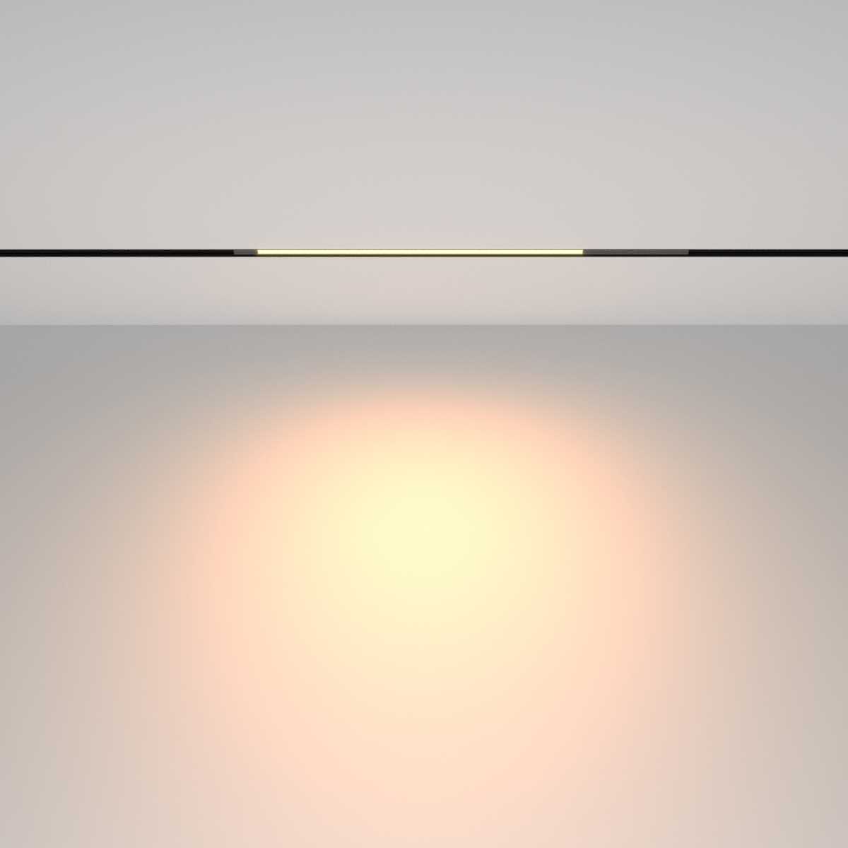 Трековый светильник Maytoni Technical TR231-2-10W3K-B