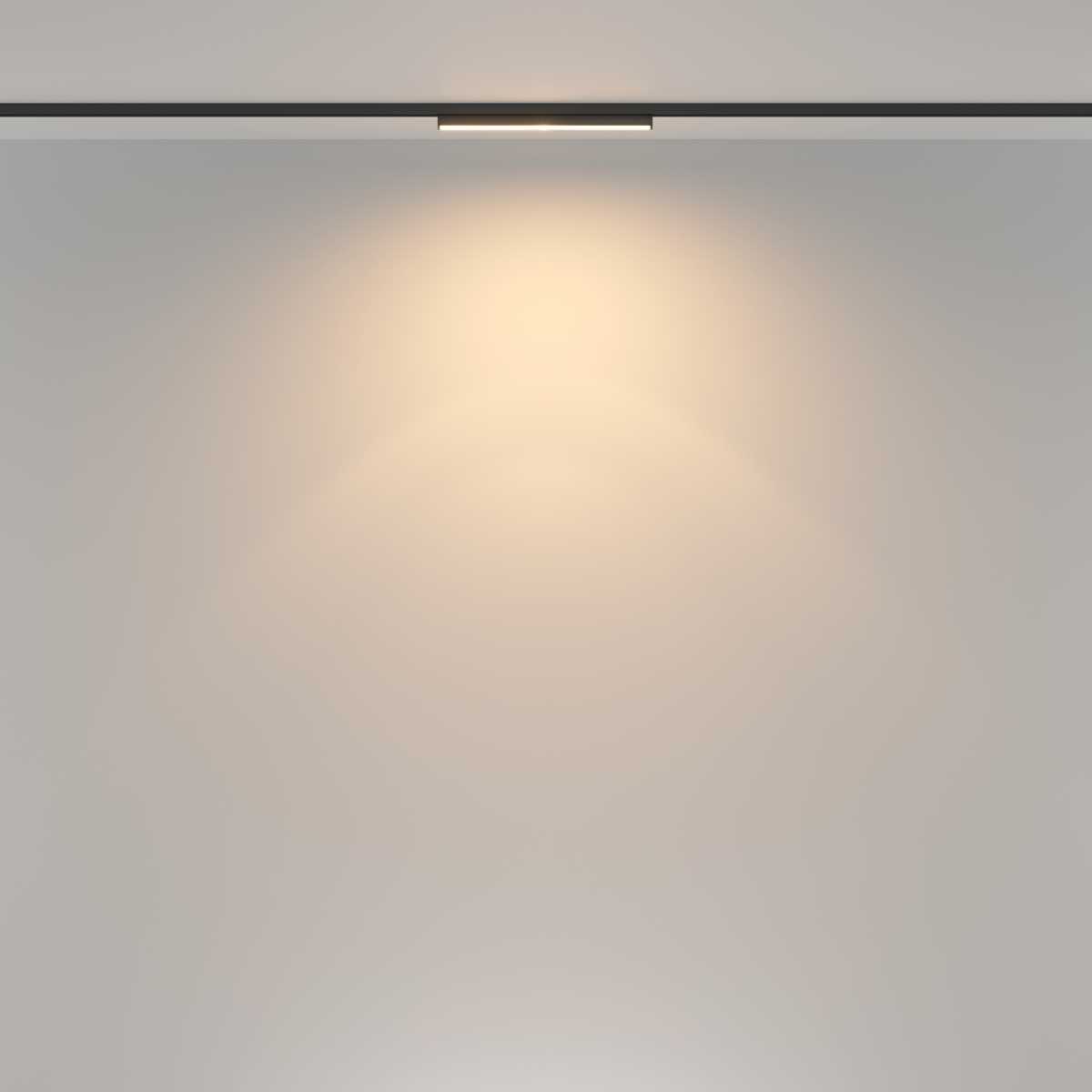 Трековый светильник Maytoni Technical TR183-1-12WTW-B