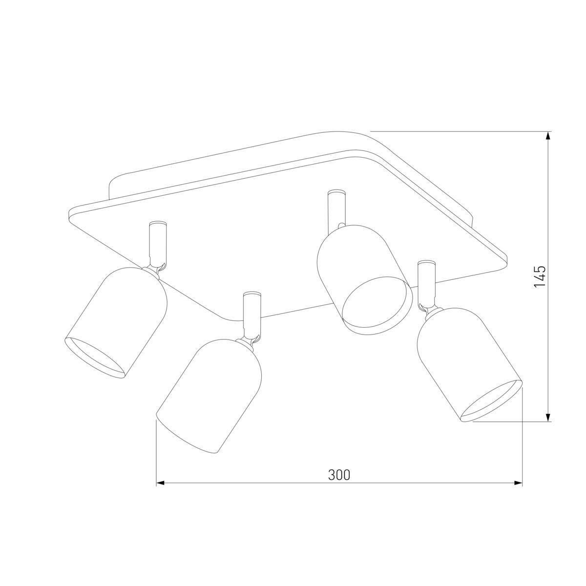 Спот TK Lighting 4418 Top