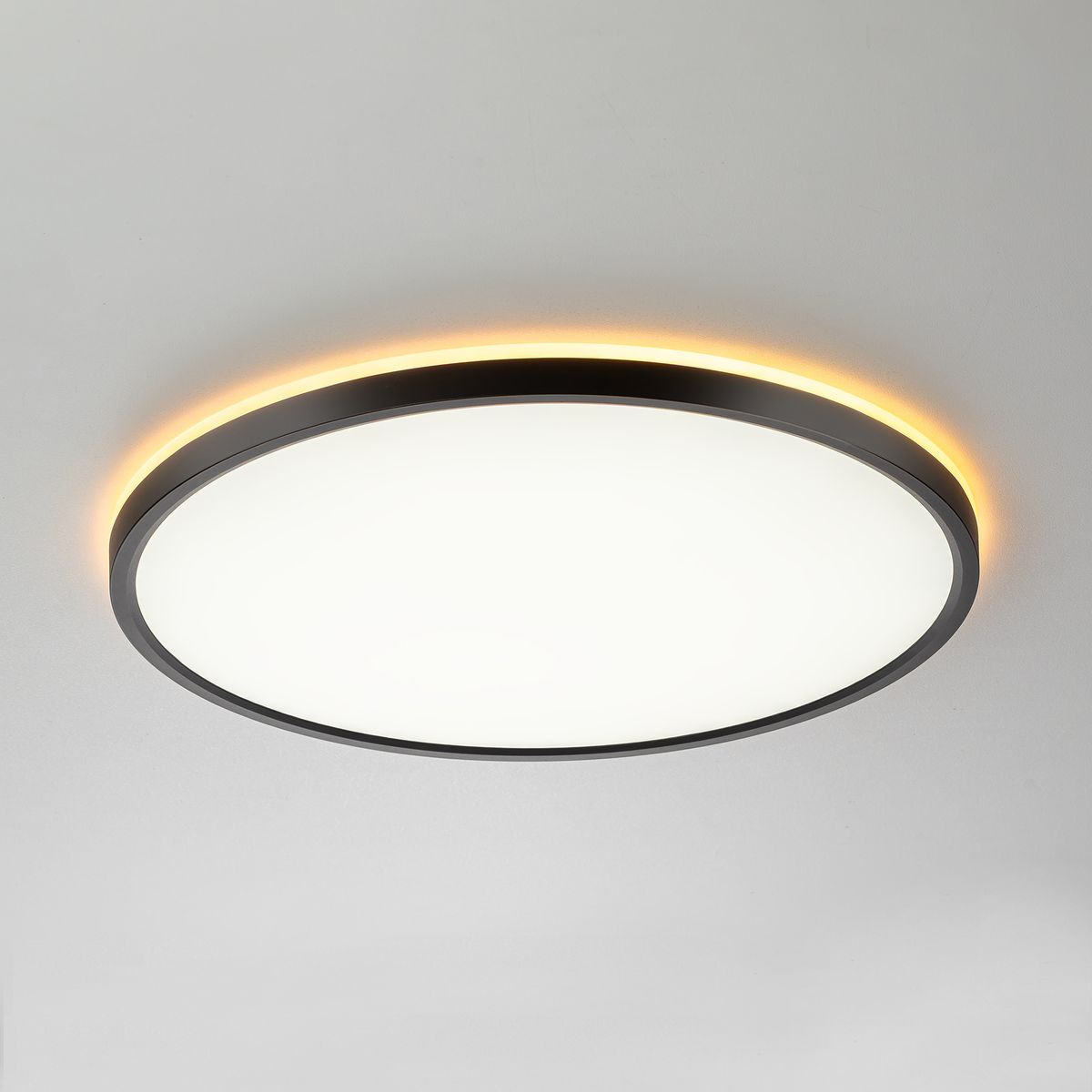 Потолочный светодиодный светильник Citilux Norma CL749401