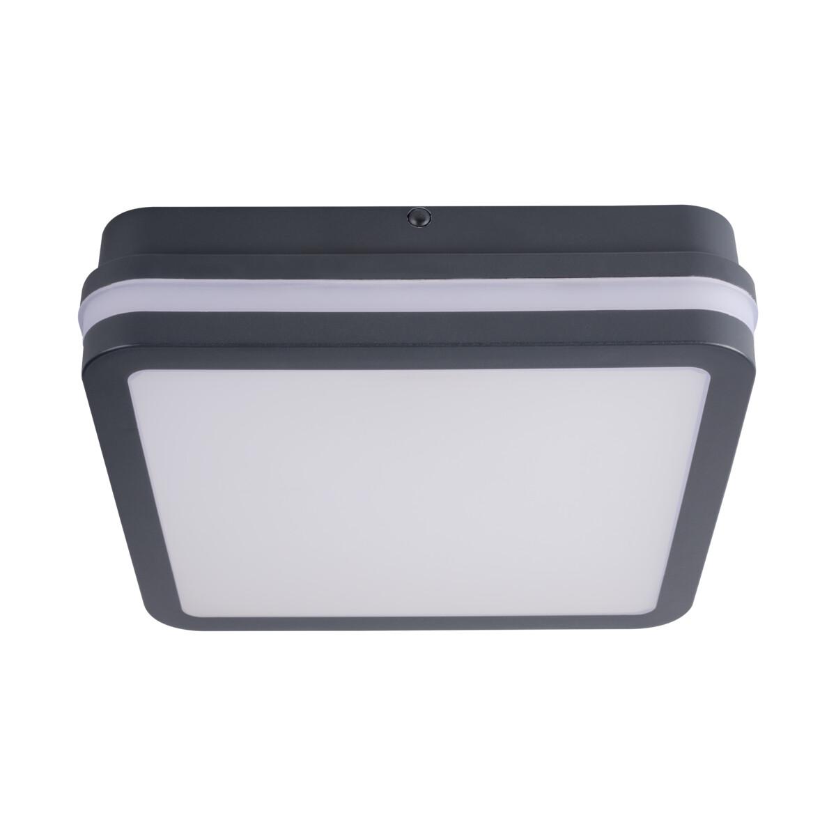 Потолочный светодиодный светильник Kanlux BENO 18W WW-L-GR 33380