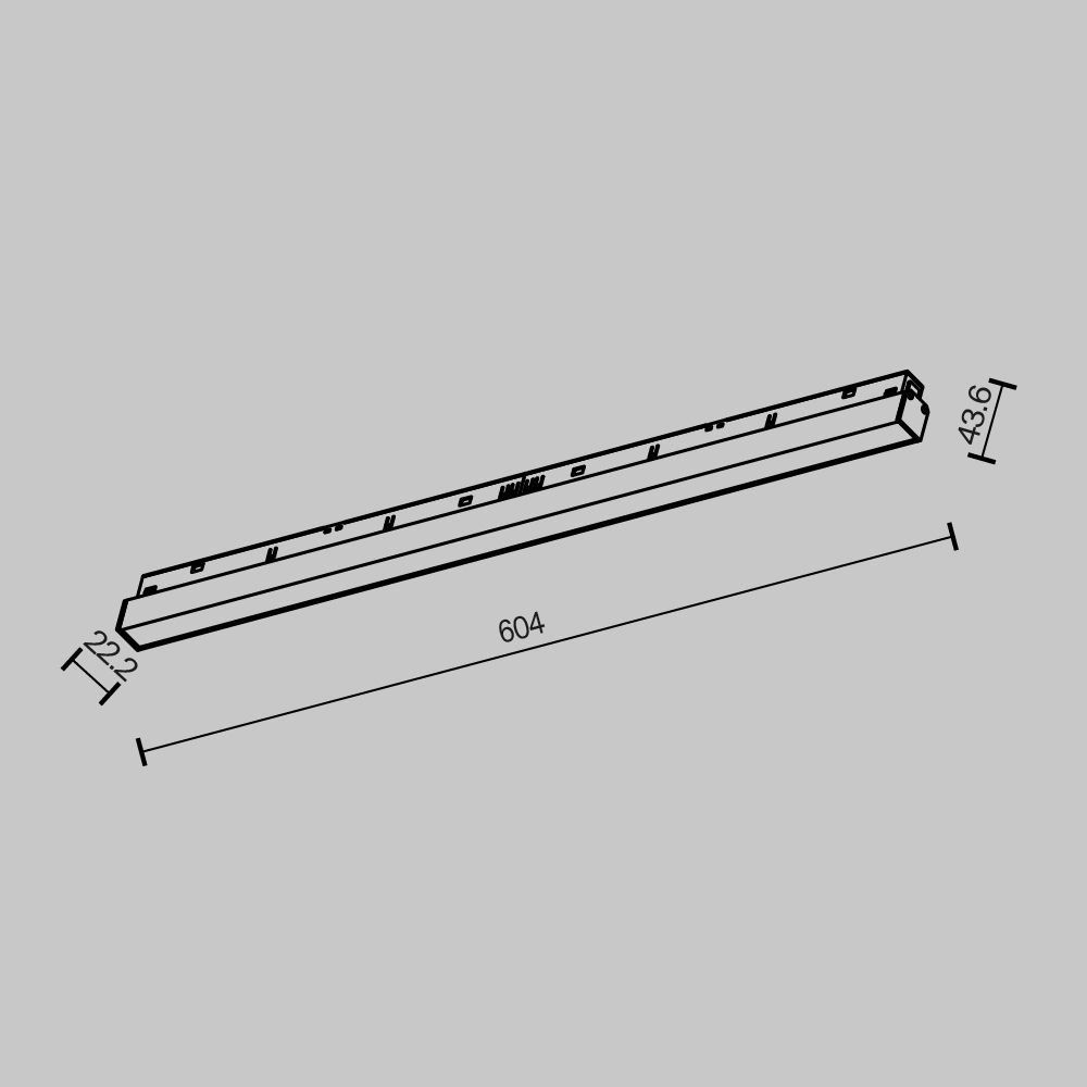Трековый светодиодный светильник Maytoni Technical Basis TR030-2-24W2.7K-B