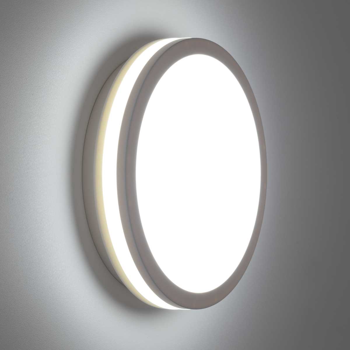 Светильник накладной Citilux LUNS CL711010V