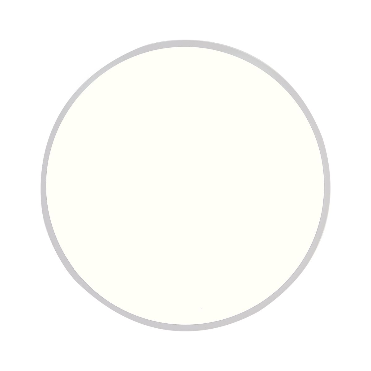 Потолочный светодиодный светильник Natali Kovaltseva LED LAMPS 81112/5C