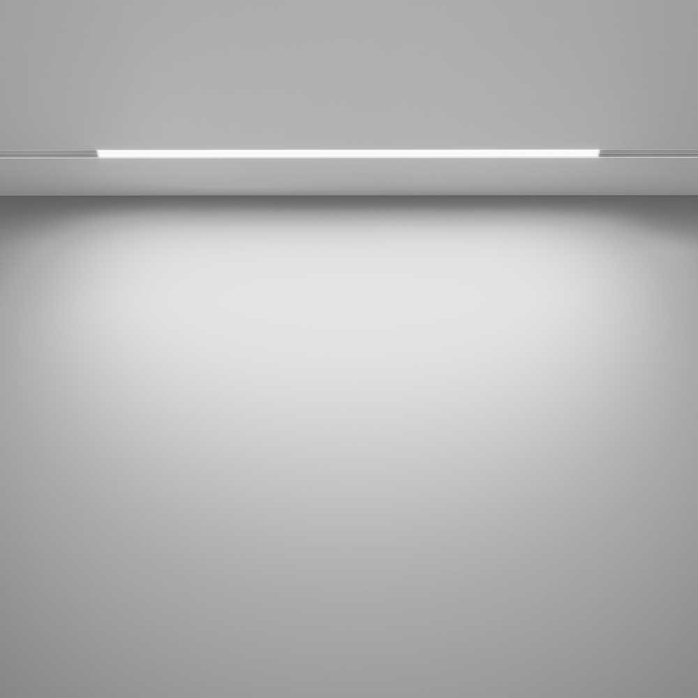 Трековый светодиодный светильник Maytoni Technical Basis TR030-4-24W3K-WW-DS-W