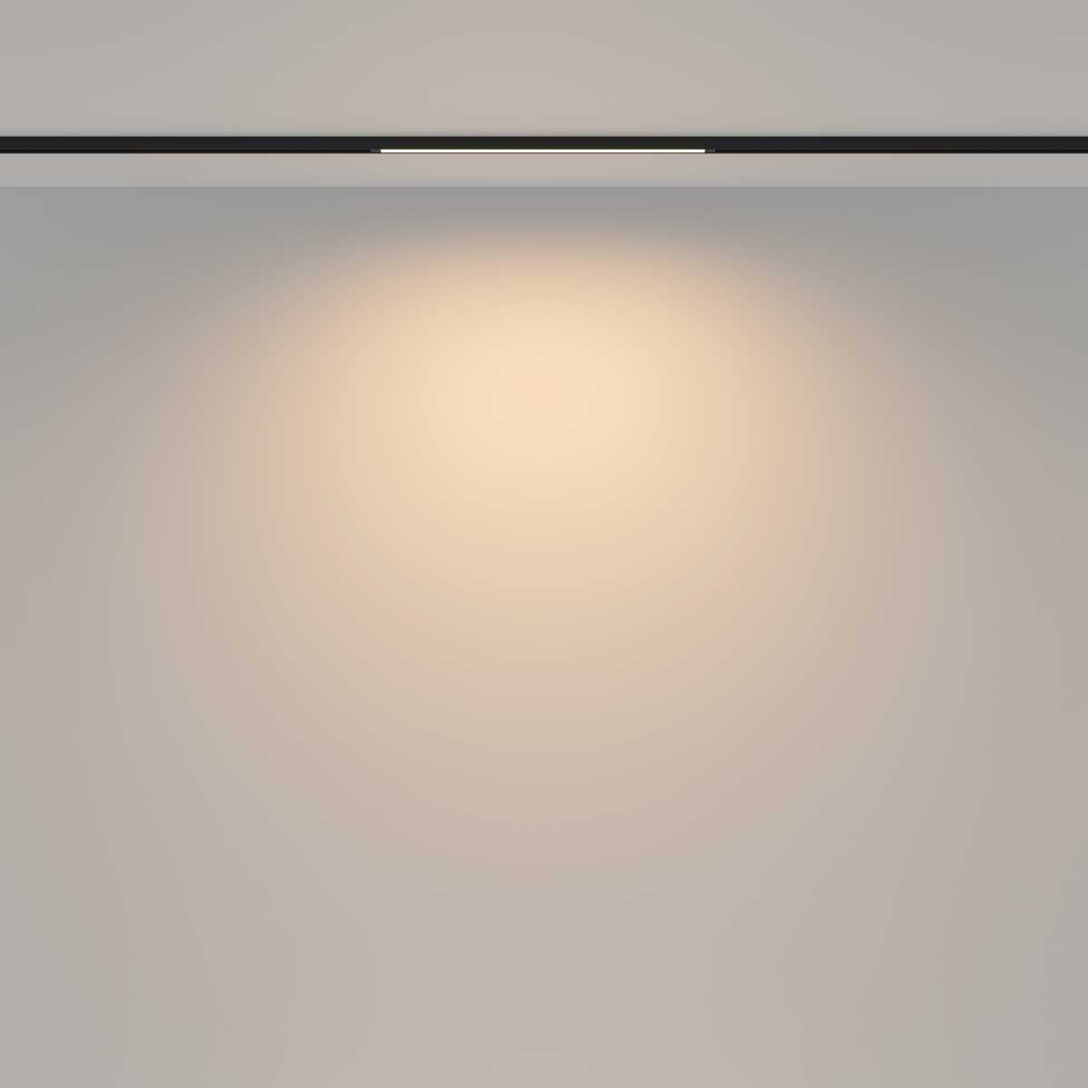 Трековый светильник Maytoni Technical TR173-1-8WTW-B