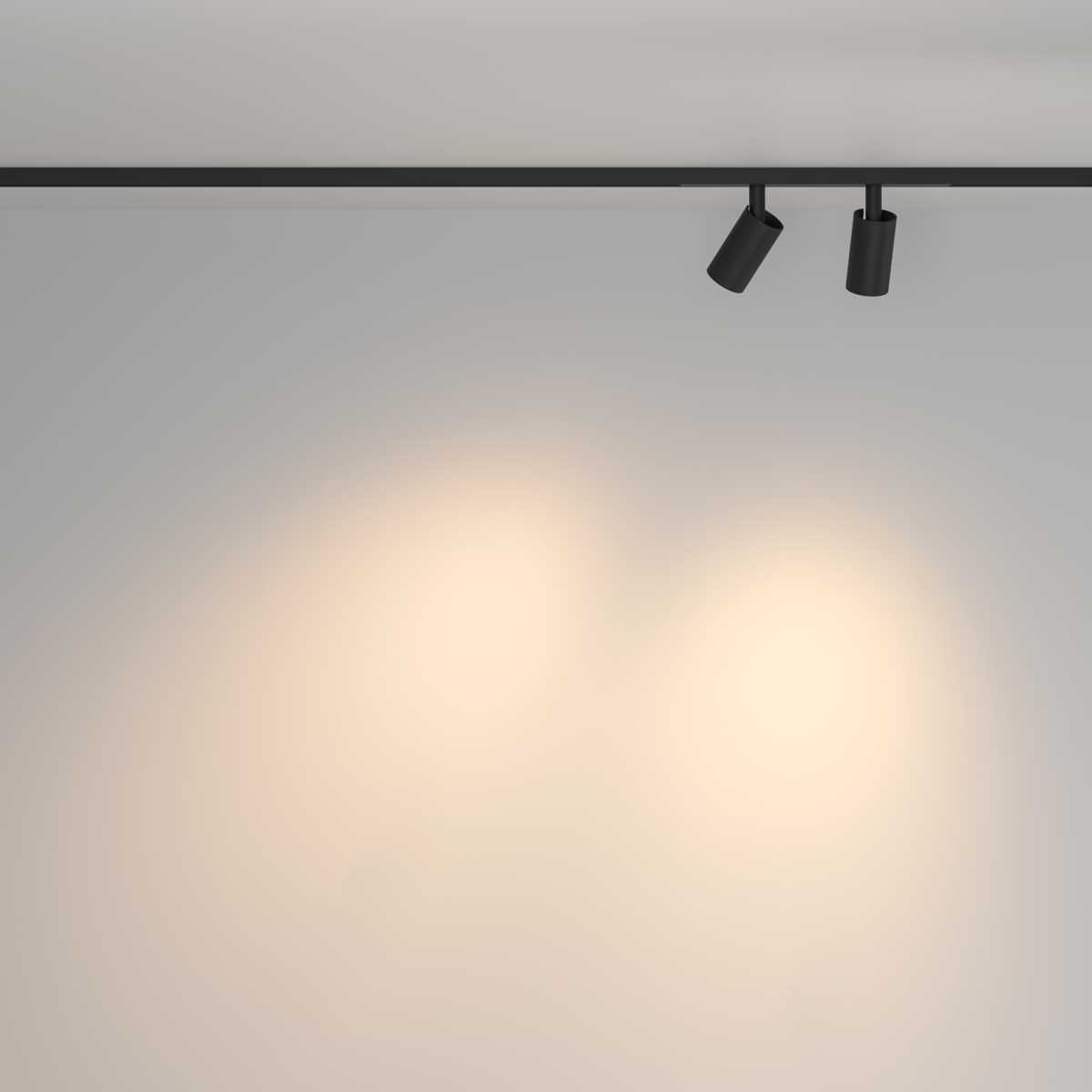 Трековый светильник Maytoni Technical TR176-1-2X5WTW-M-B