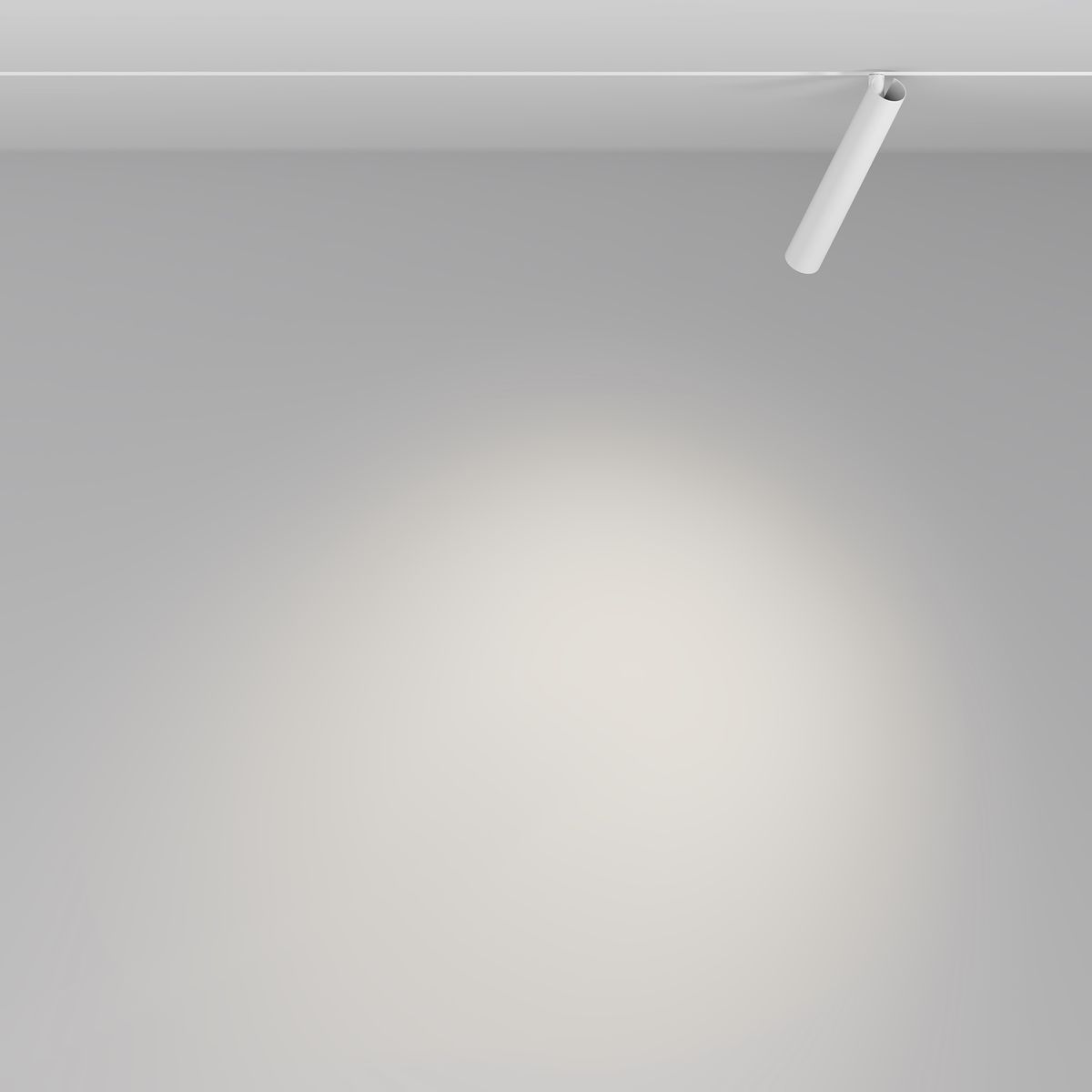 Трековый светодиодный светильник Maytoni Technical Magnetic Exility Focus T TR141-2-6W4K-M-W