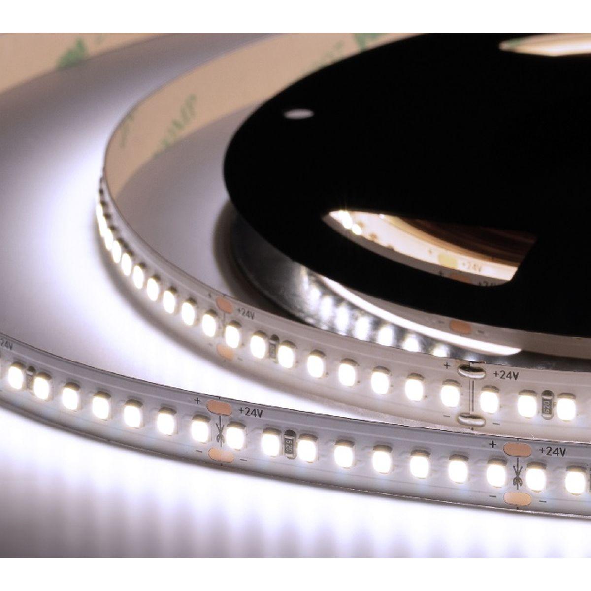 Лента светодиодная ELF 960SMD диодов (2835), 36В, 5м, ЭКСТРА, белый 6500-7000К ELF-960SMD2835NWw-Xtr36