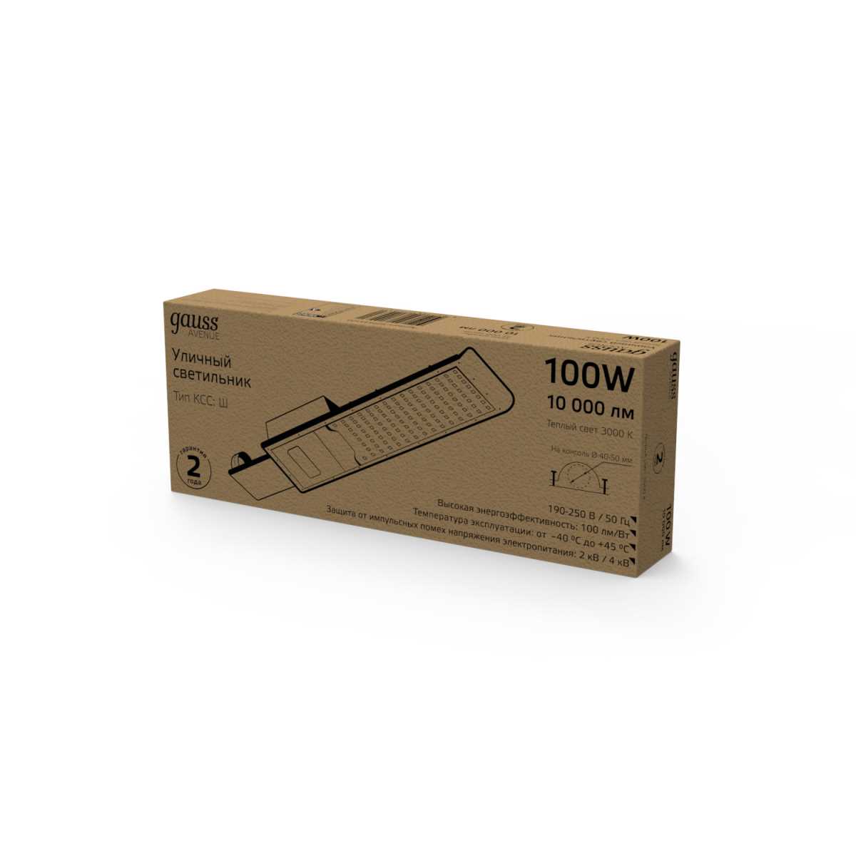 Уличный светодиодный консольный светильник Gauss Avenue 629534100