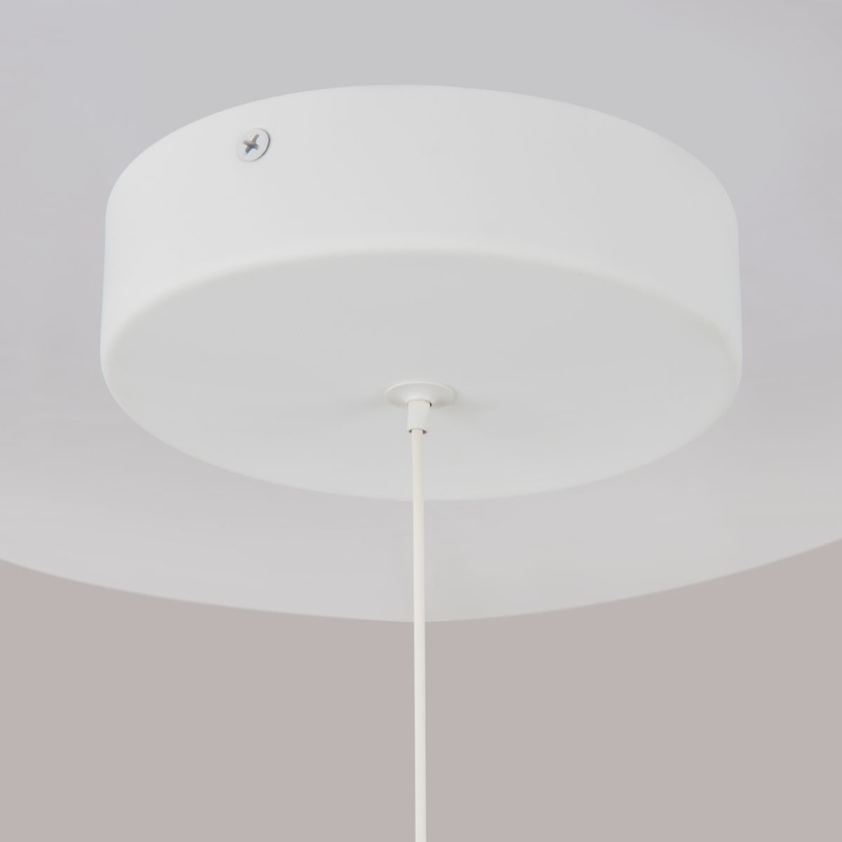 Подвесной светодиодный светильник Maytoni Technical Ray P021PL-L10W