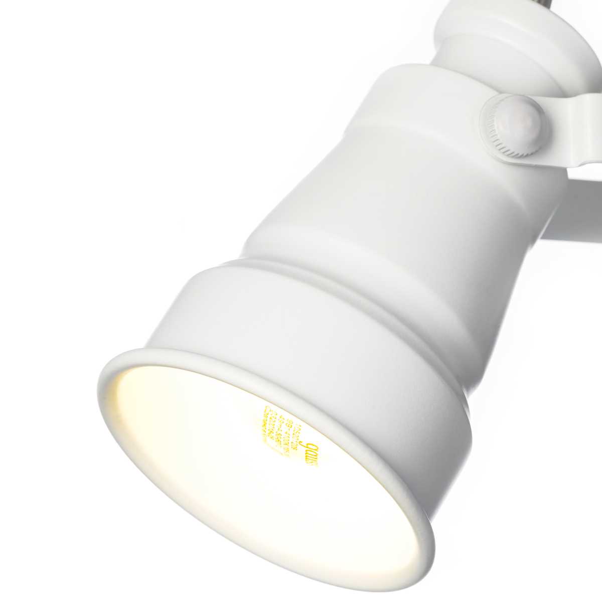 Спот Citilux Бейкер CL541510