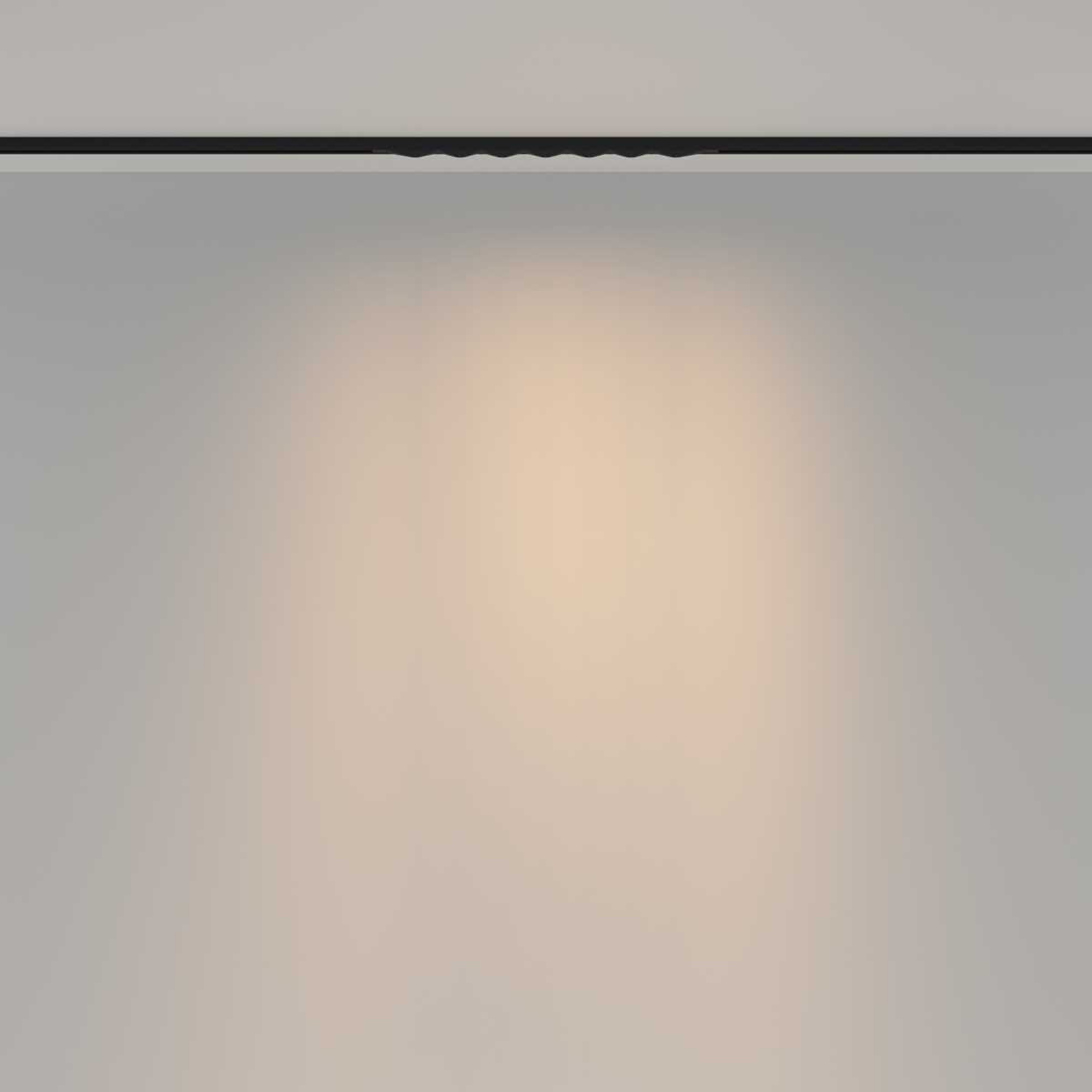 Трековый светильник Maytoni Technical TR175-1-12WTW-M-B