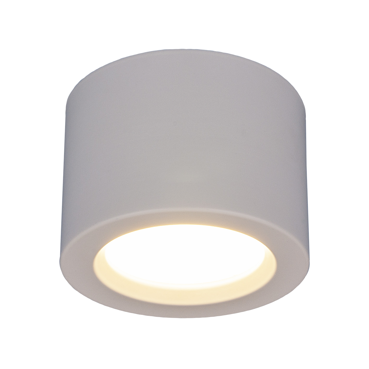 Потолочный светодиодный светильник Elektrostandard DLR026 6W 4200K белый матовый a040440