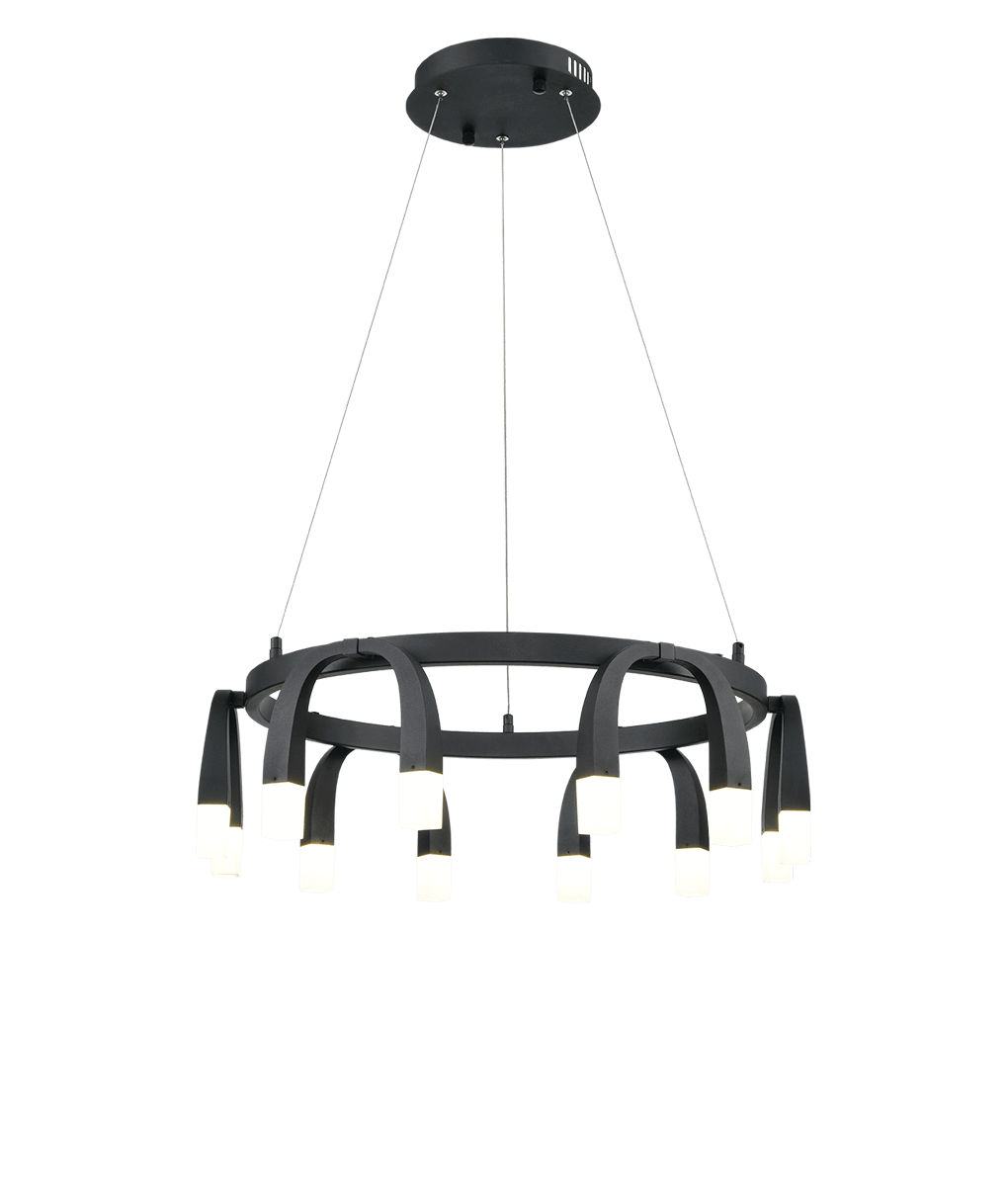 Подвесной светильник Vele Luce Negro VL7102P12
