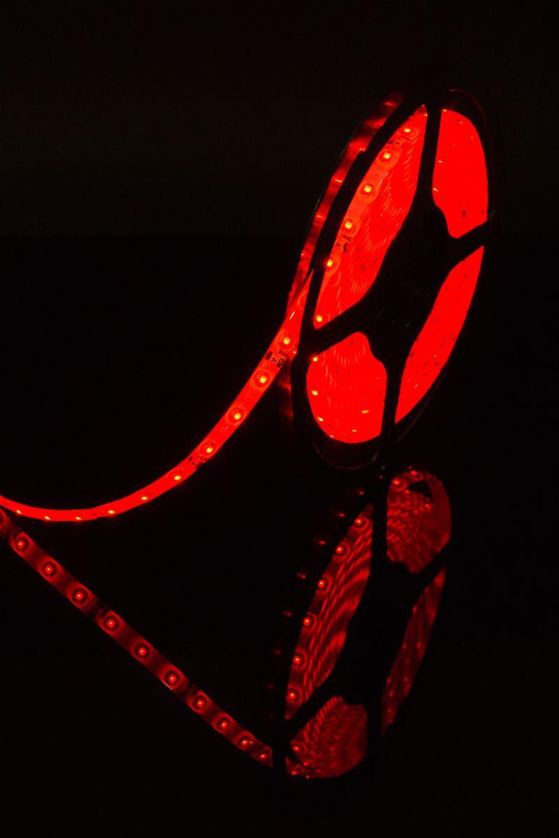 Светодиодная лента SWG 4,8W/m  60Led/m 3528SMD красный 5M SWG360-12-4.8-R-М 010115