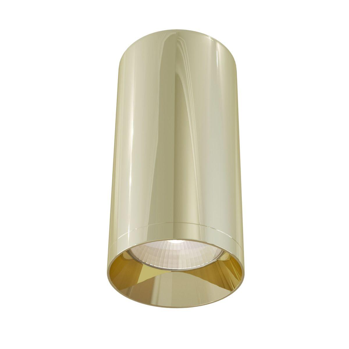 Потолочный светильник Maytoni Technical Focus C010CL-01G