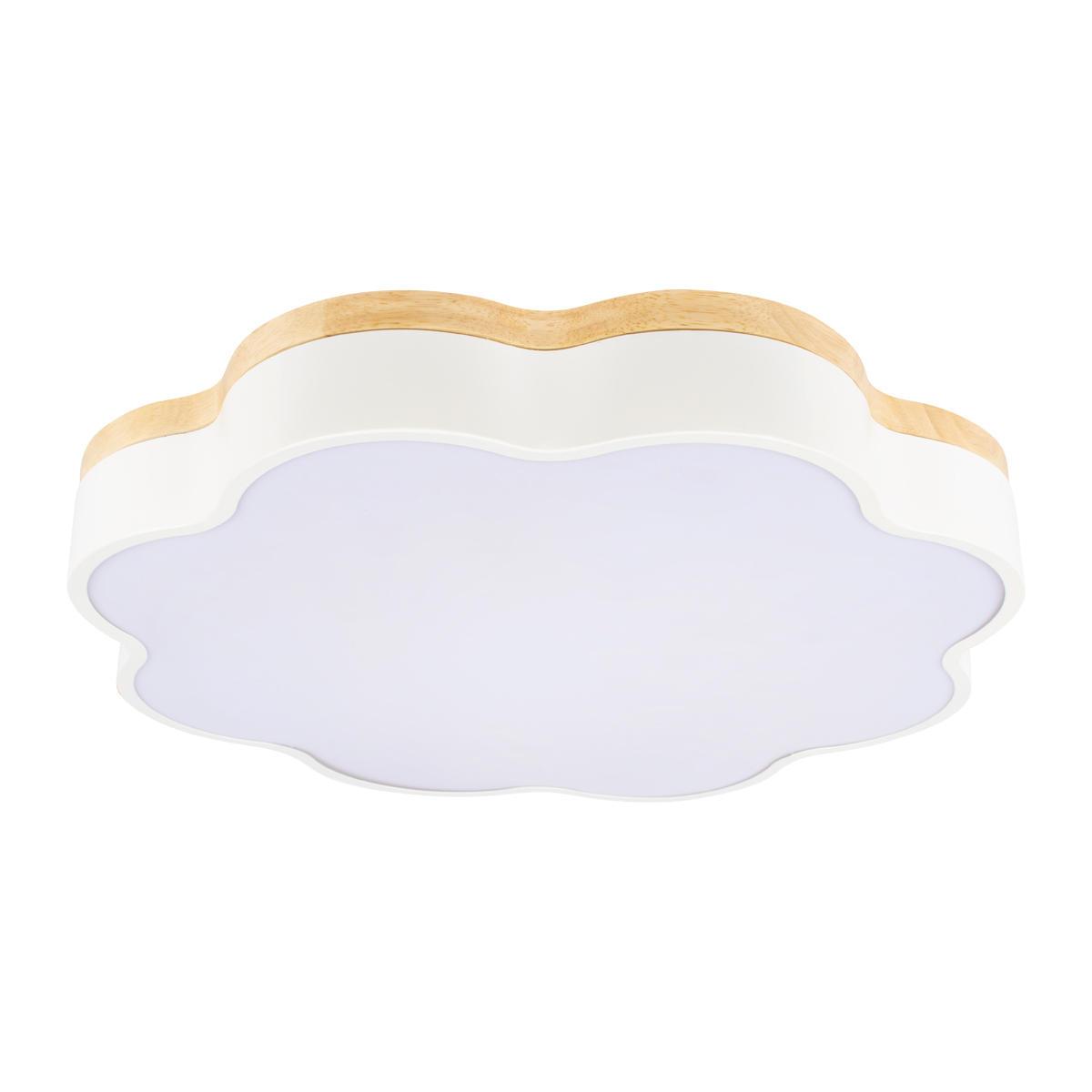 Потолочный светодиодный светильник Loft IT Axel 10225/36 White