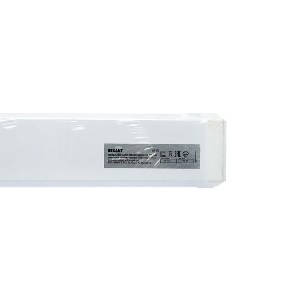Настенный светильник REXANT 610-005