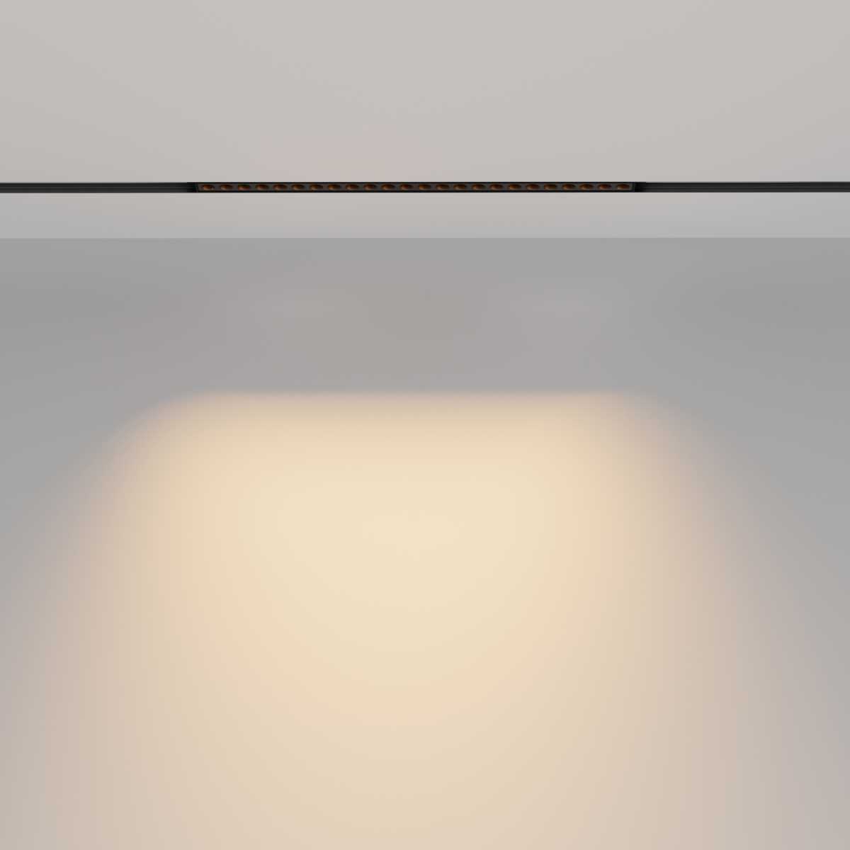 Трековый светильник Maytoni Technical Points TR031-2-24W2.7K-B