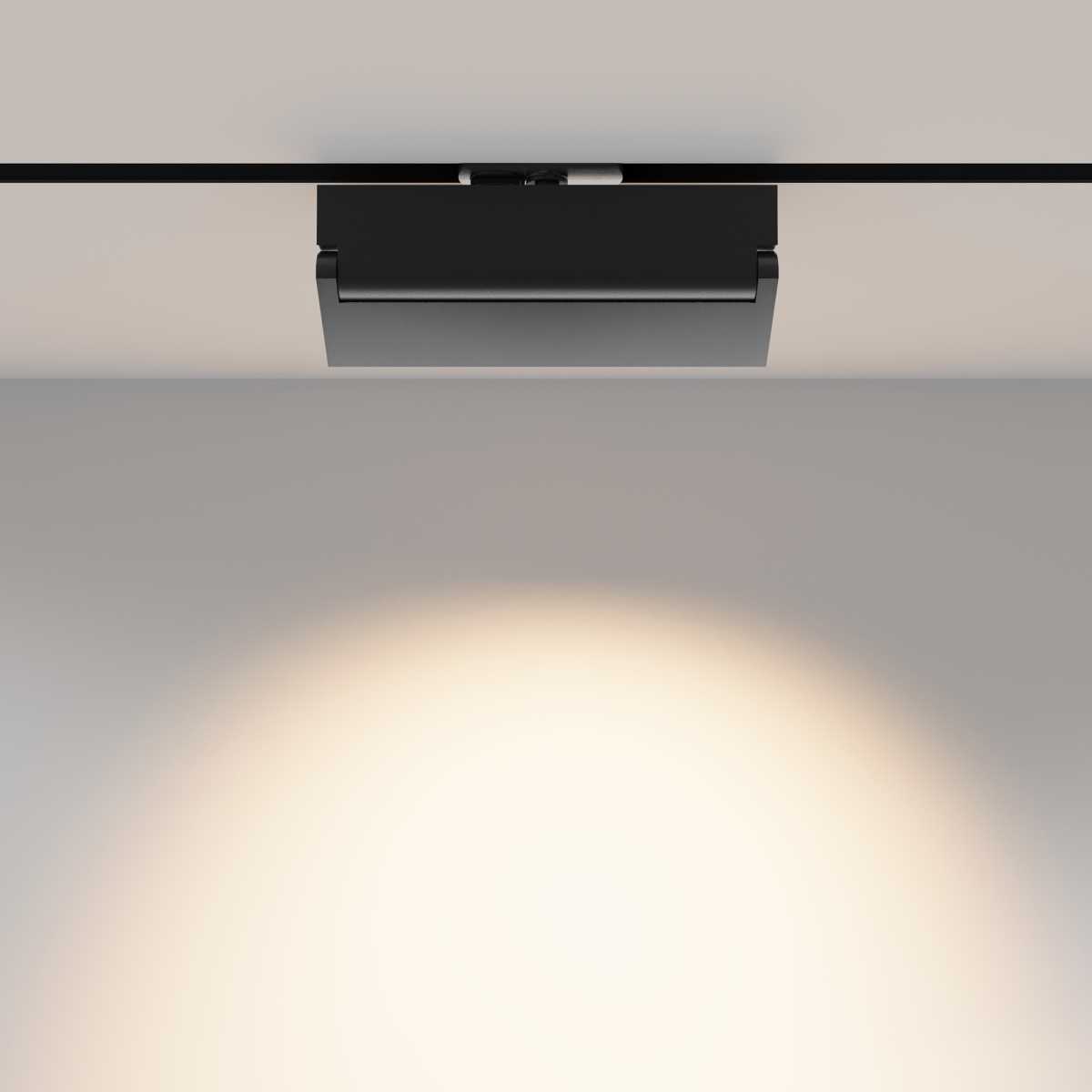 Трековый светильник Maytoni Technical TR223-1-12WCCT-W-B