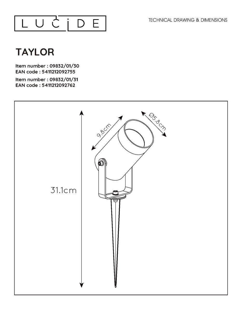 Уличный светильник Lucide Taylor 09832/01/30