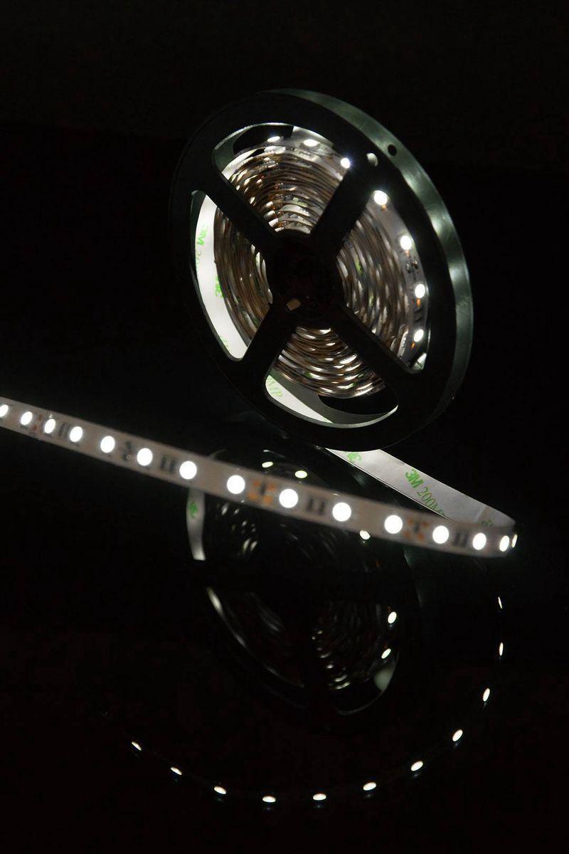 Светодиодная лента SWG 14,4W/m 60LED/m 5050SMD холодный белый 5M 001067