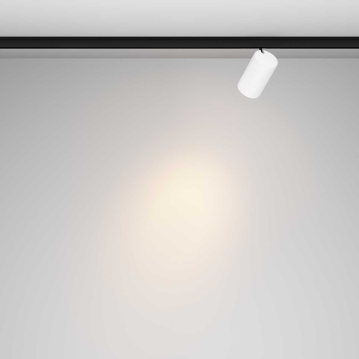 Трековый светильник Maytoni Technical Focus Led TR187-1-9W3K-M-BW