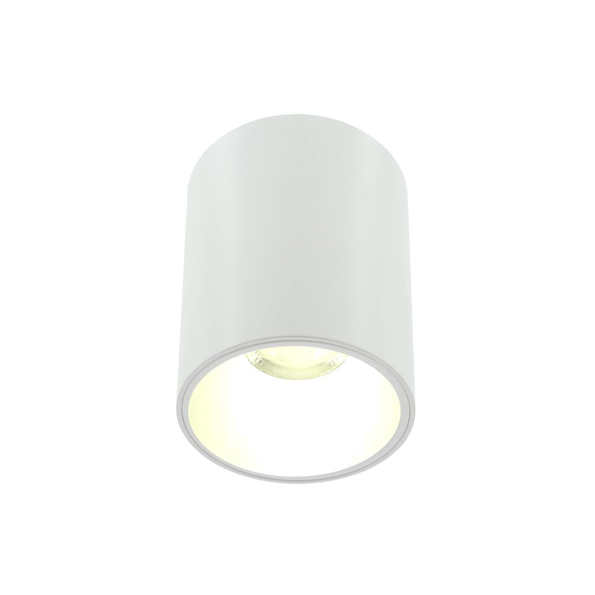 Накладной светильник Lightera Shamrock LE200CL-1W