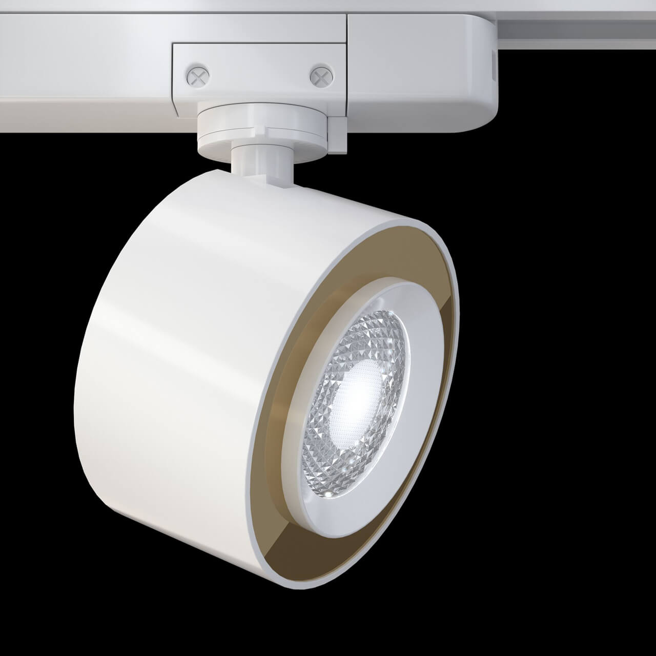 Трековый светодиодный светильник Maytoni Track lamps TR023-1-12W3K