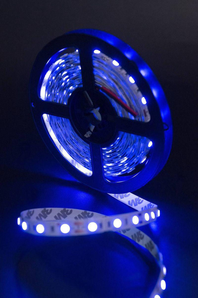 Светодиодная лента SWG 14,4W/m  60Led/m 3528SMD синий 5M SWG560-12-14.4-B-M 009473