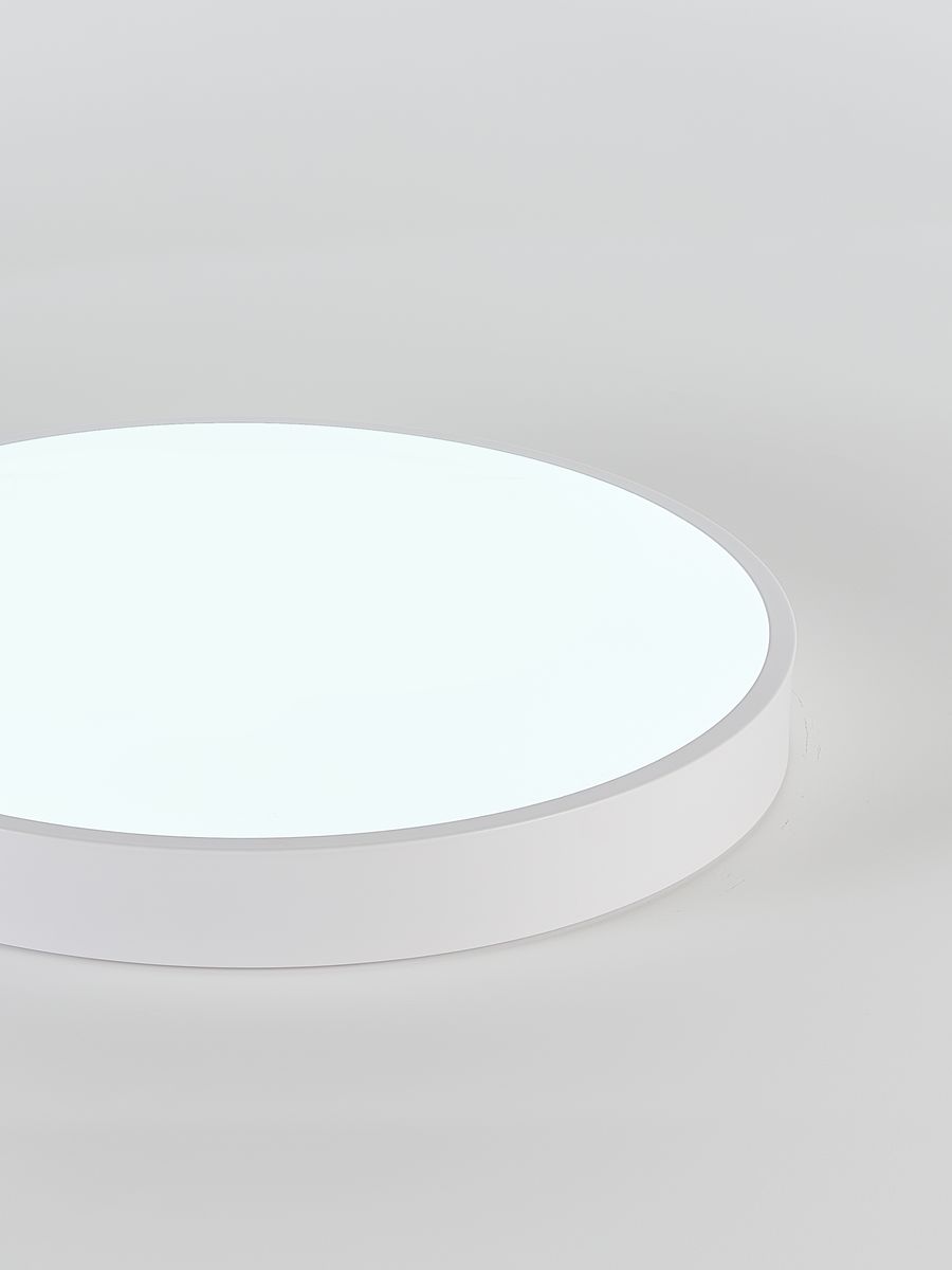 Потолочный светодиодный светильник Natali Kovaltseva LED LAMPS 81112/5C