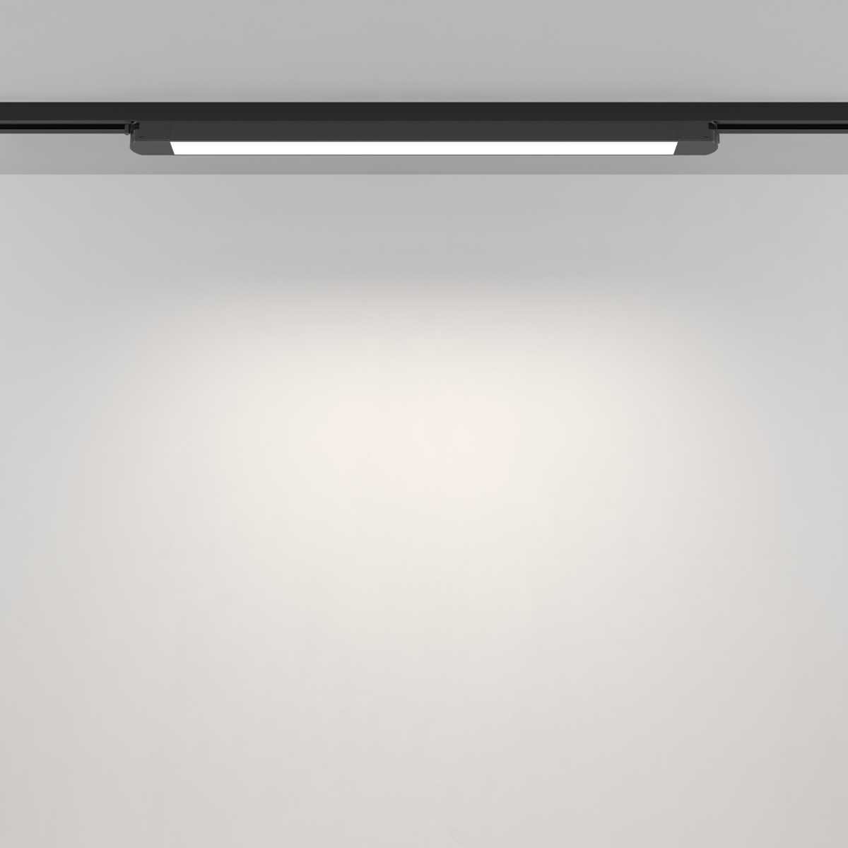 Трековый светильник Maytoni Technical TR000-1-24W4K-B_1